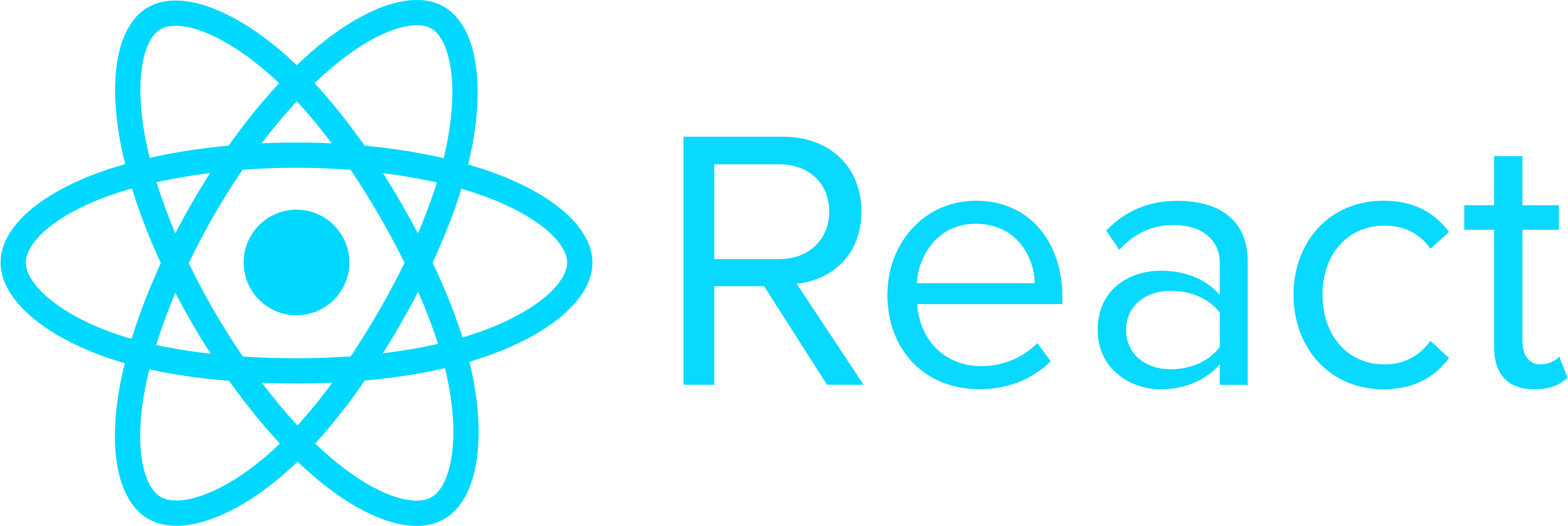 Web Design & Software Development Company, Trademark Registration Consultant in Agra 23 React logo wordmark