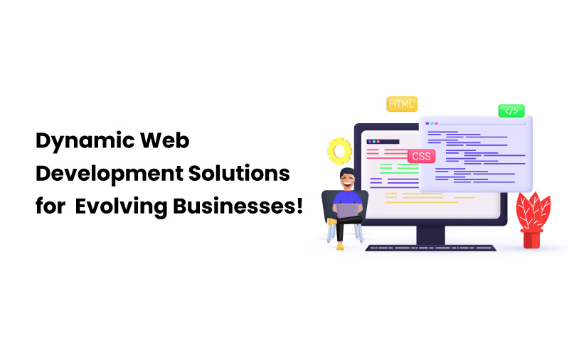 web development w